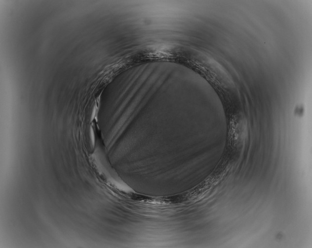 X0000098170223200805151124