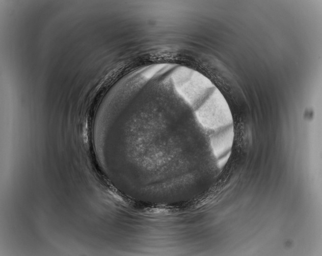 X0000098170224200805151124