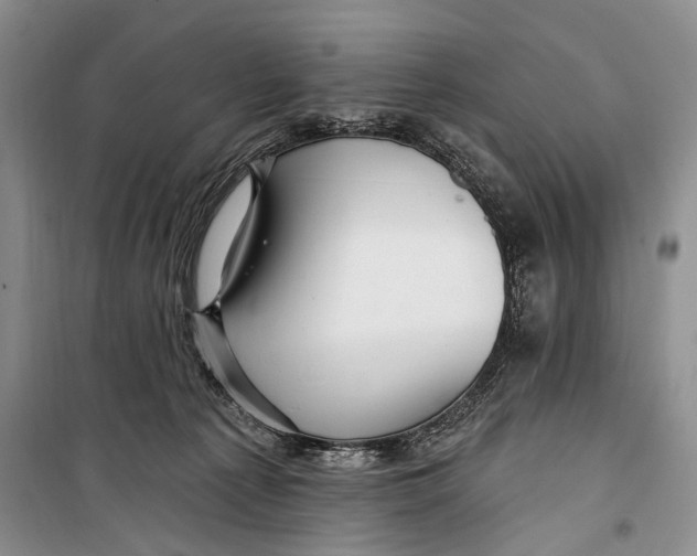 X0000098170225200805151124