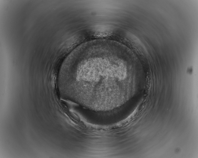 X0000098170227200805151124