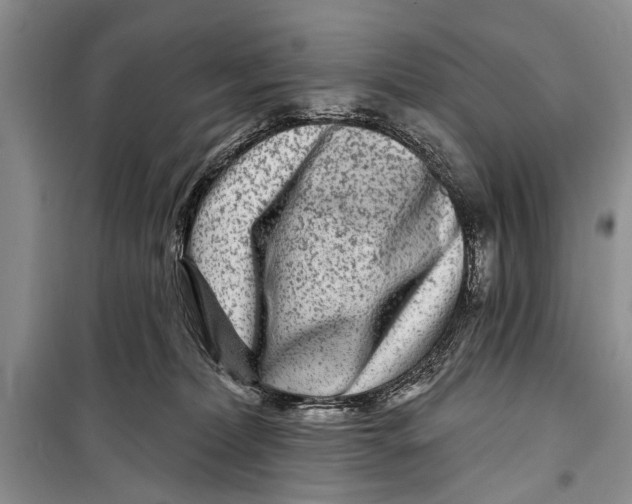 X0000098170228200805151124