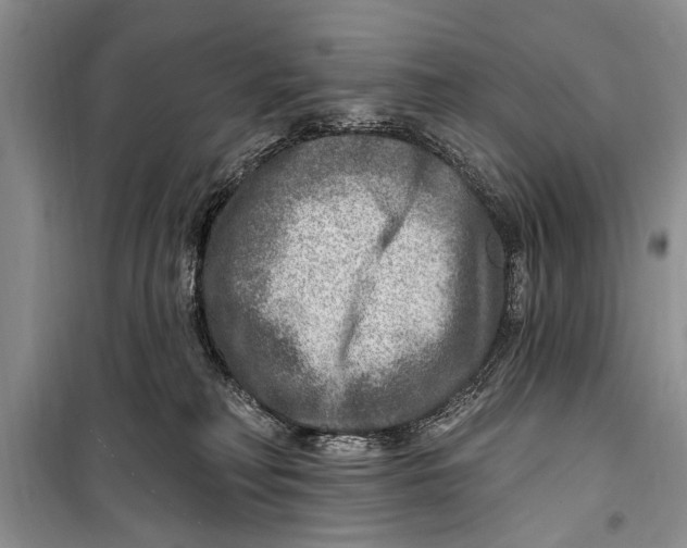 X0000098170230200805151124