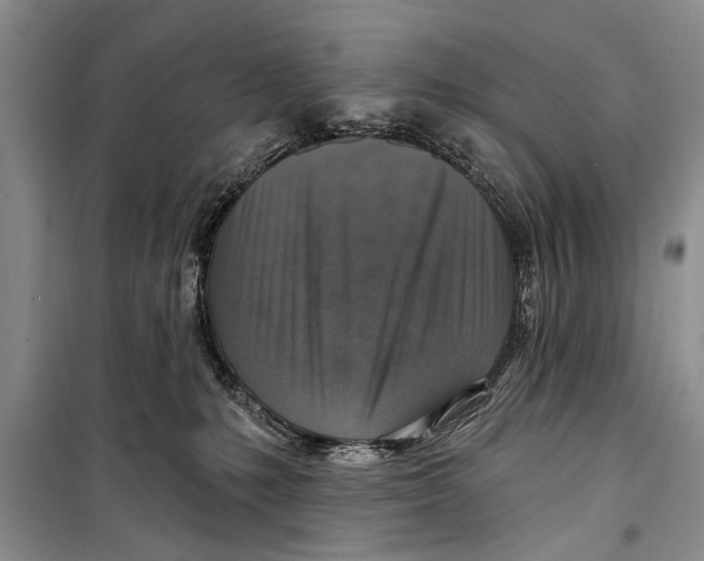 X0000098170231200805151124