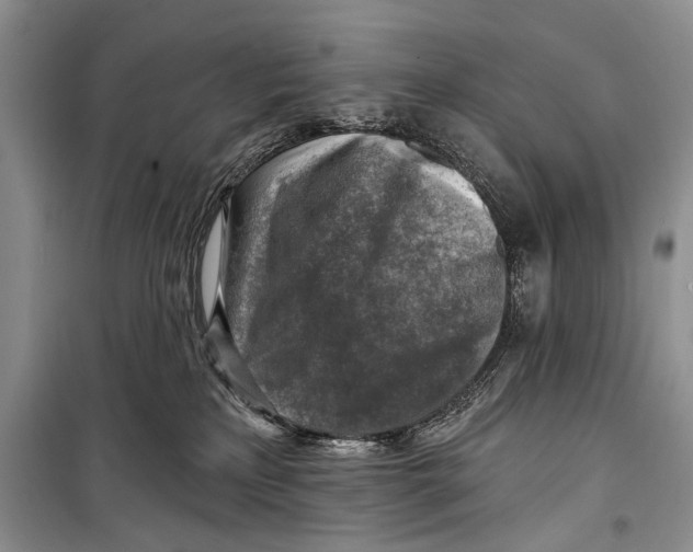 X0000098170233200805151124