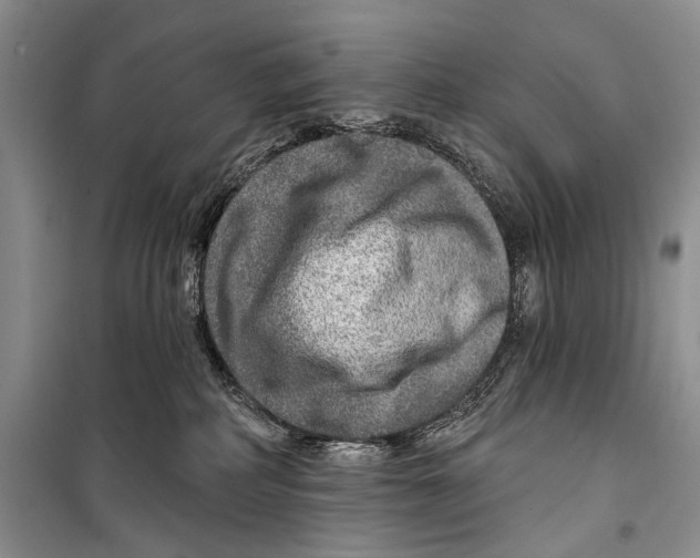 X0000098170234200805151124