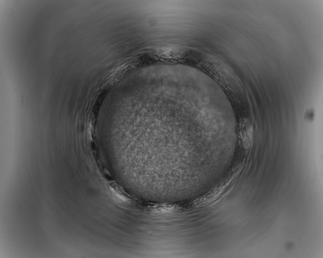 X0000098170235200805151124