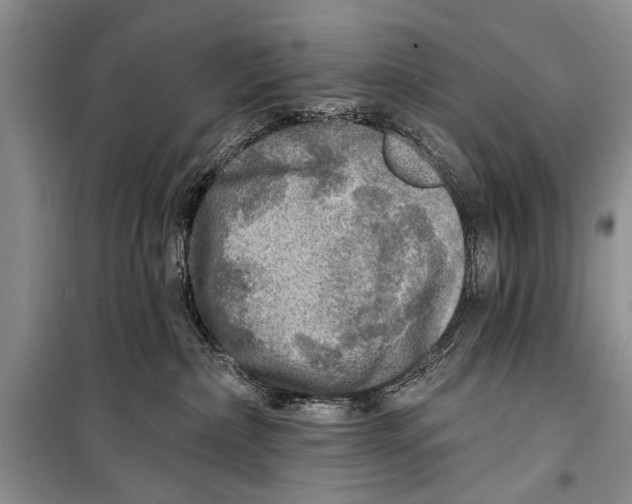 X0000098170236200805151124