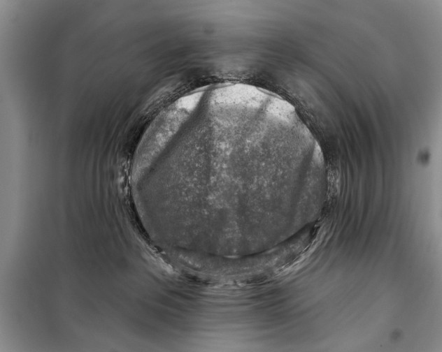 X0000098170237200805151124