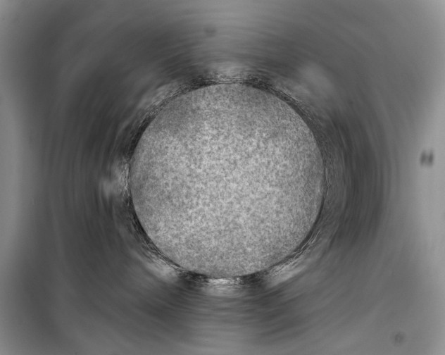 X0000098170240200805151124