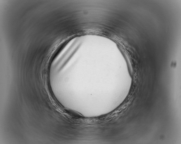 X0000098170241200805151123