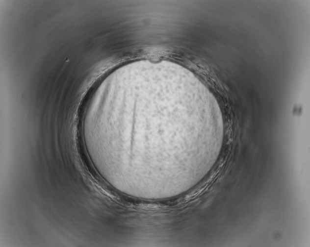 X0000098170242200805151123