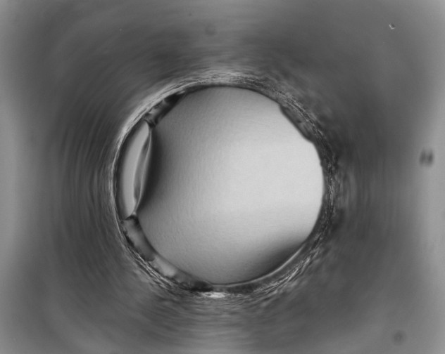 X0000098170244200805151123