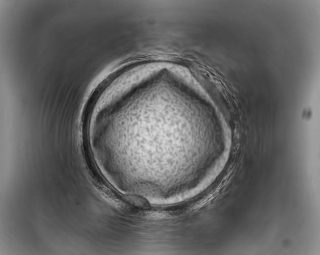 X0000098170246200805151123