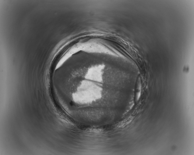 X0000098170247200805151123