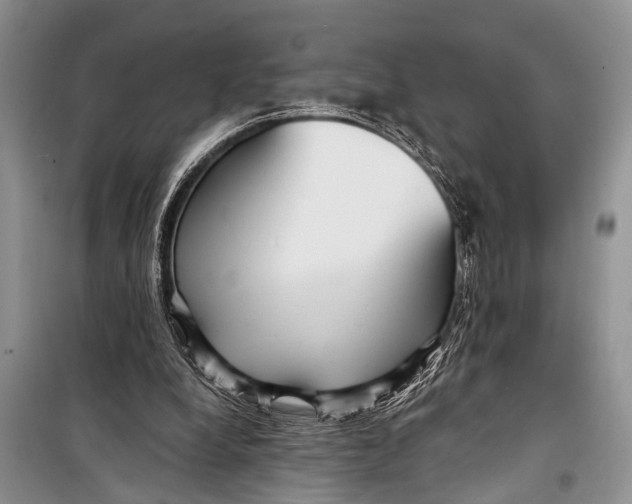 X0000098170248200805151123