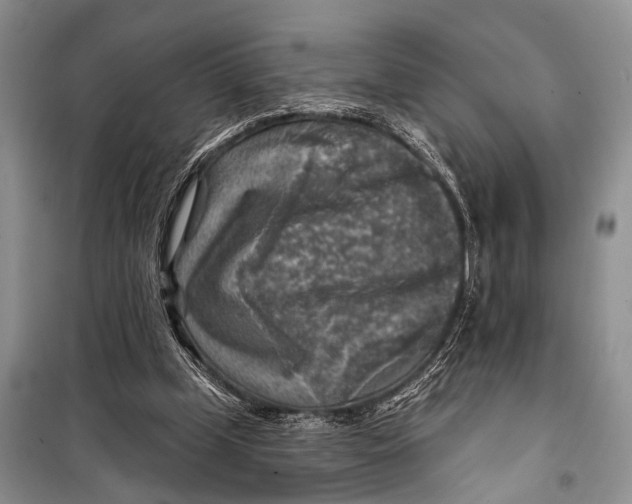 X0000098170249200805151123