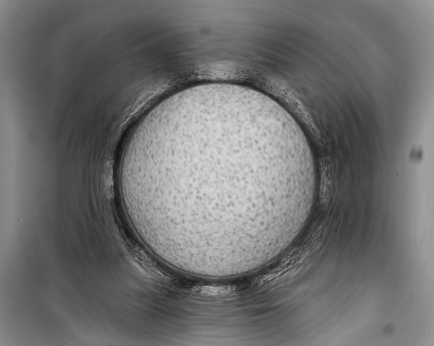 X0000098170251200805151123