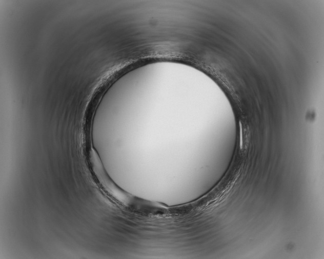 X0000098170252200805151123