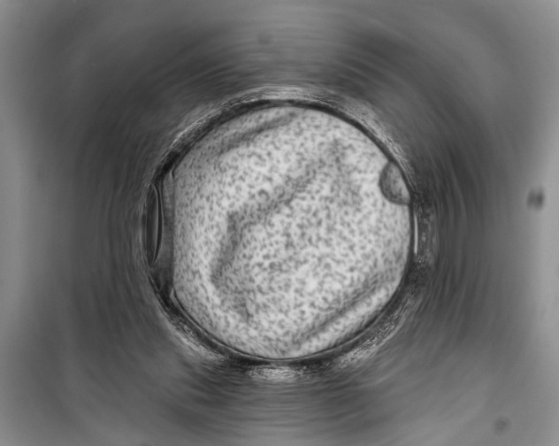 X0000098170253200805151123