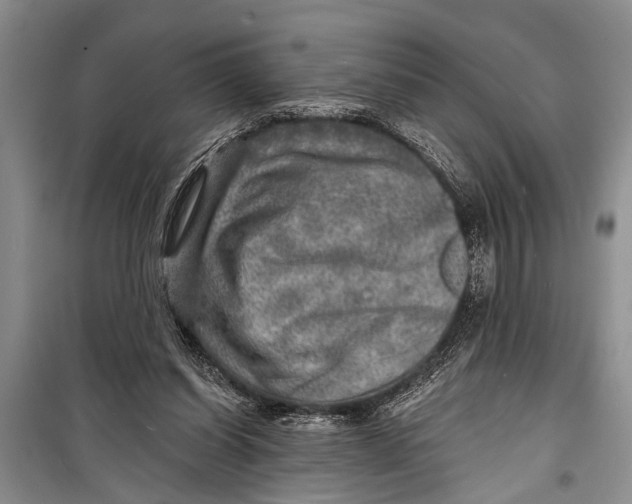 X0000098170254200805151123