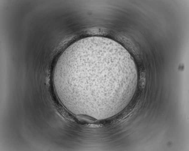 X0000098170255200805151123