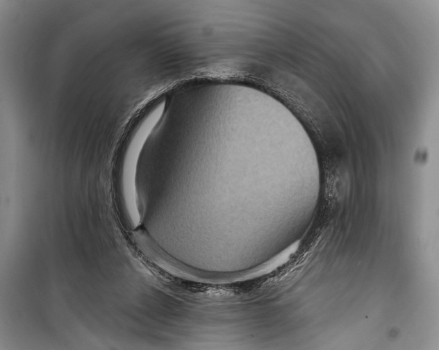 X0000098170256200805151123