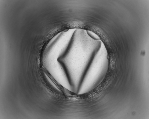 X0000098170259200805151123