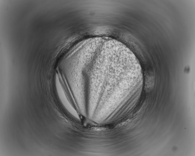 X0000098170260200805151123