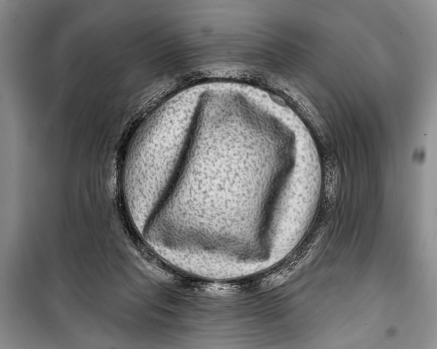 X0000098170261200805151123