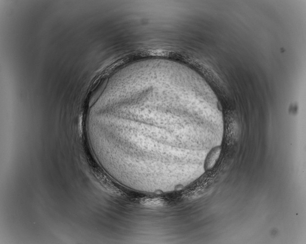 X0000098170262200805151123