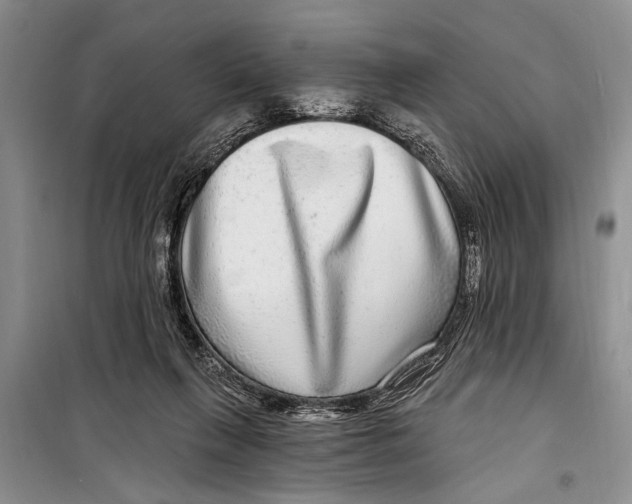 X0000098170263200805151123