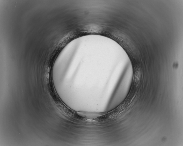 X0000098170264200805151123