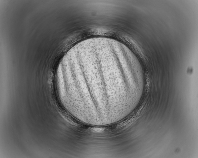 X0000098170265200805151123