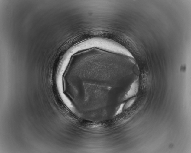 X0000098170267200805151123