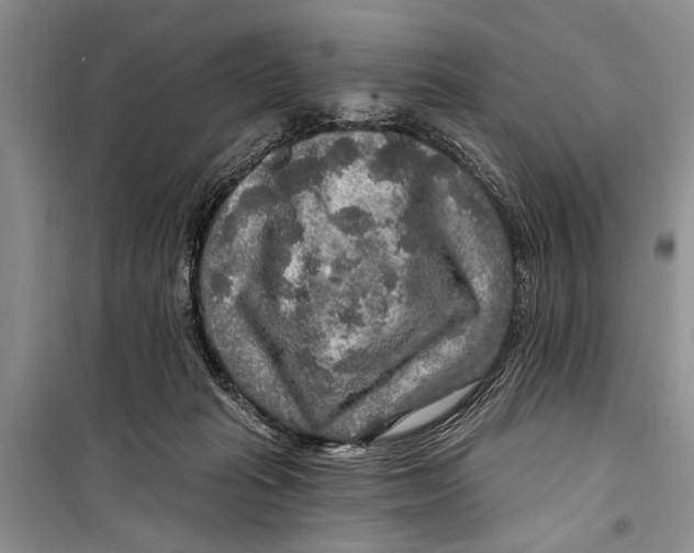 X0000098170269200805151124