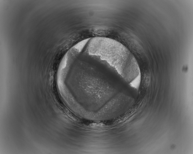 X0000098170271200805151124