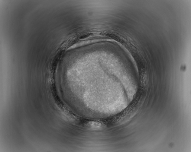 X0000098170272200805151124