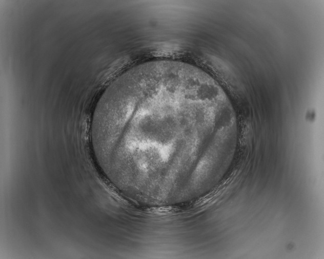 X0000098170273200805151124