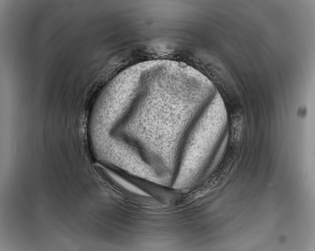 X0000098170274200805151124