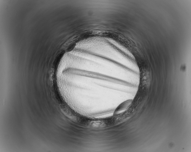 X0000098170275200805151124