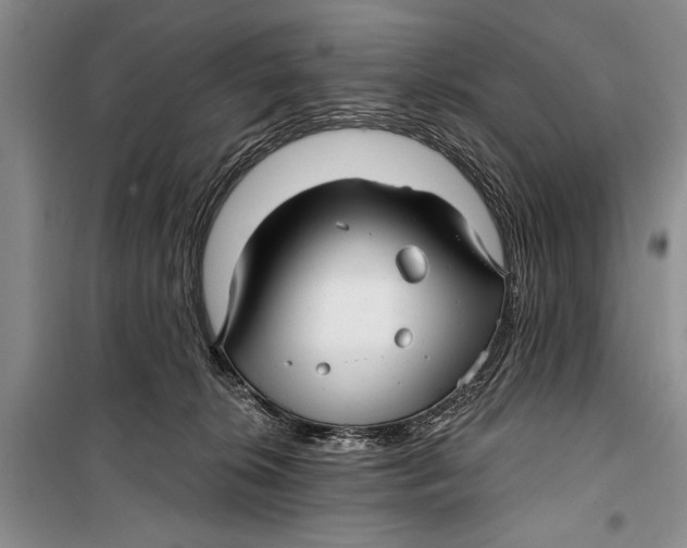 X0000098170276200805151124