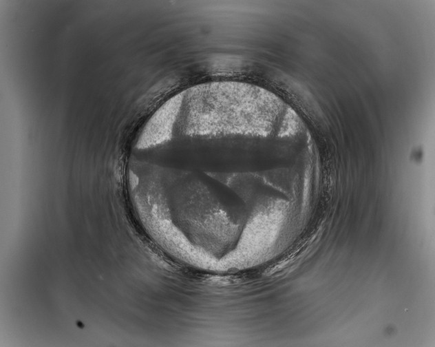 X0000098170277200805151124