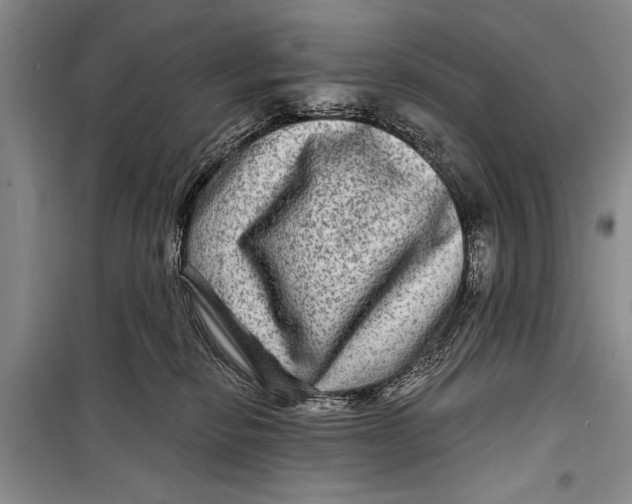 X0000098170278200805151124