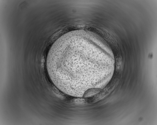 X0000098170279200805151124