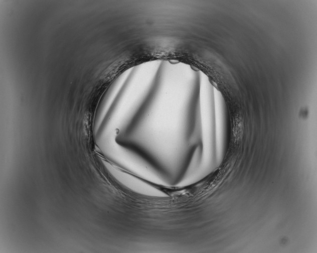 X0000098170280200805151124