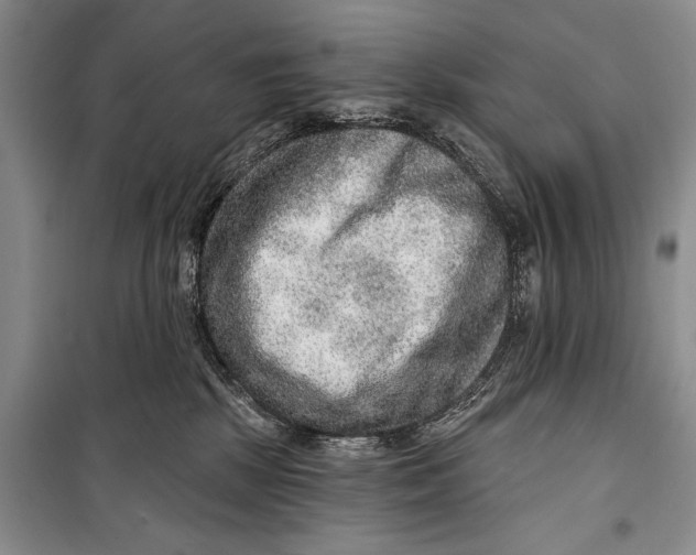 X0000098170281200805151124