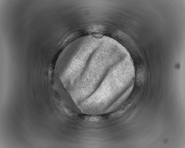 X0000098170282200805151124