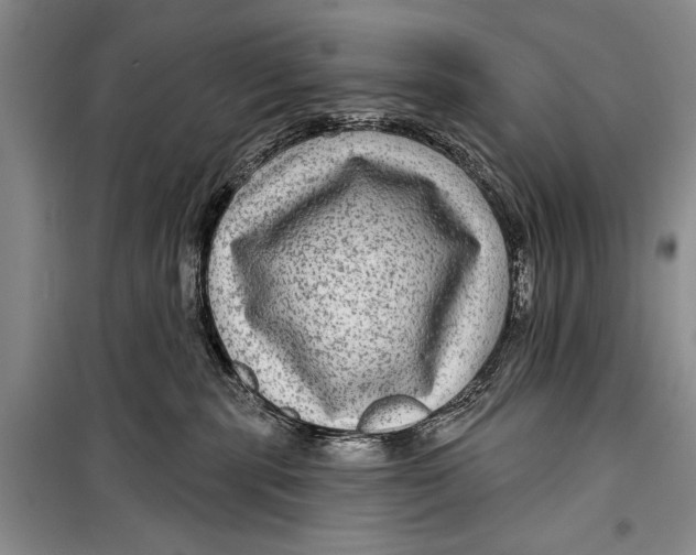 X0000098170283200805151124