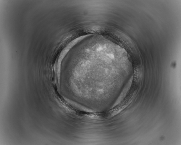 X0000098170284200805151124