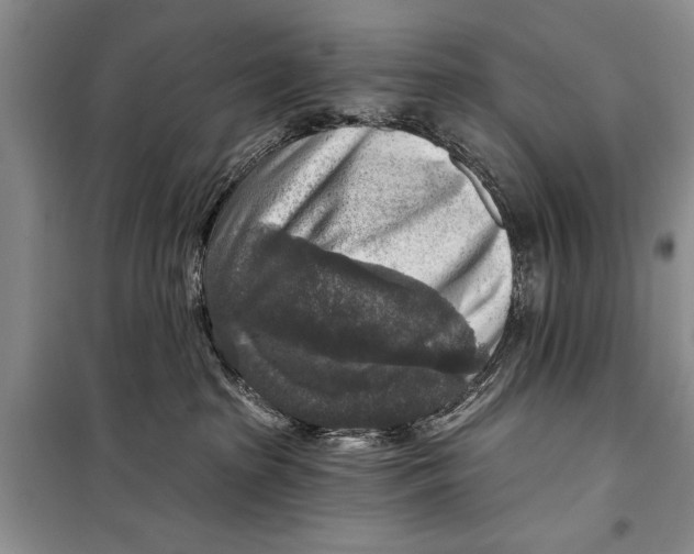 X0000098170285200805151124